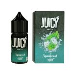 جویس سالت نستی نعنا یخ Salt Nasty Spearmint 30ml