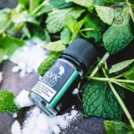 جویس سالت بی ال وی کی نعنا یخ SPEARMINT NICOTINE SALT BLVK - ویپ اسموک سنتر