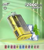 پاد یکبار مصرف کی کی انرژی 8 kk energy 8 12000 puff